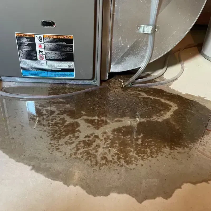 Appliance Leak Cleanup in Benld, IL